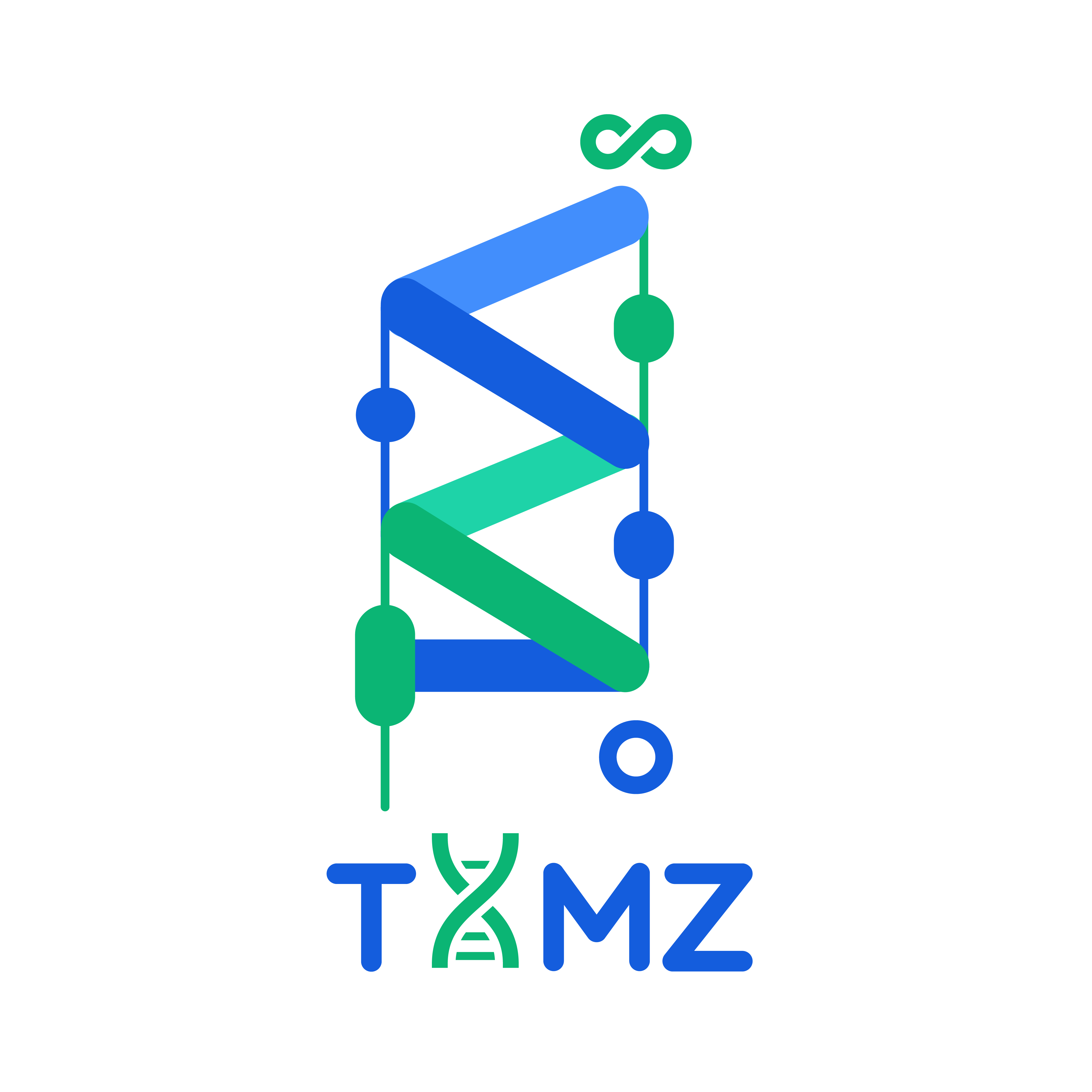 TAMZ Works Logo - Expert Software Solutions