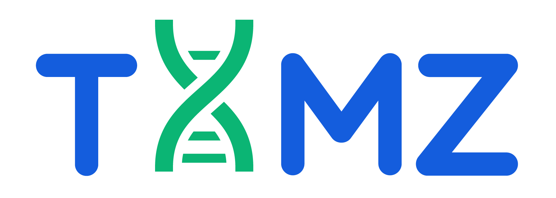 TAMZ Works Logo - Expert Software Solutions